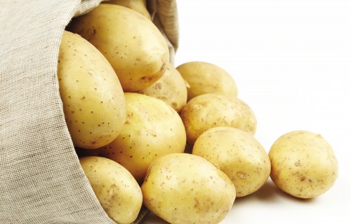 Kartupeļu šķirņu produktivitātes salīdzinājums