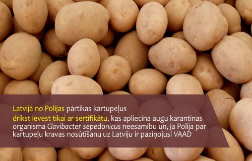 Prasība pārtikas kartupeļu ievešanai Latvijā no Polijas