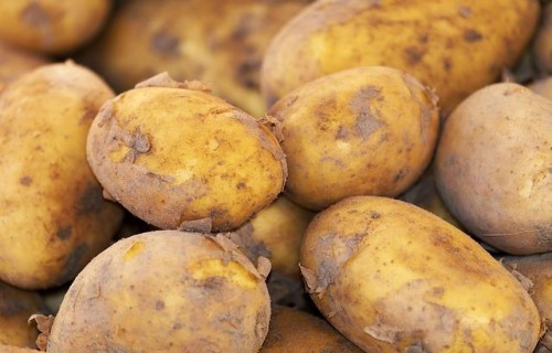 Latvijā pārtikas kartupeļus no Polijas un Rumānijas drīkst ievest, ja tiem pievienota augu pase