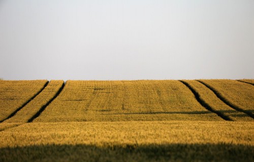 Pirmie lauksaimnieki Latvijā saņem samaksu par aprēķinātajiem oglekļa kredītiem