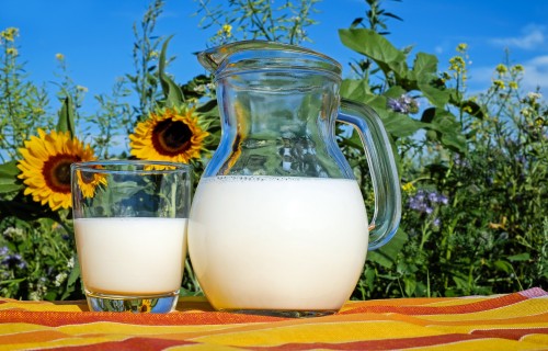 Situācija piena nozarē varētu stabilizēties pēc diviem līdz trīs mēnešiem