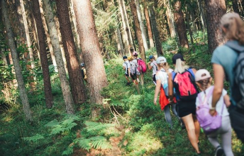 LVM skolu programmās aizvadītajā gadā mežu izzinājuši vairāk nekā 24 000 dalībnieku