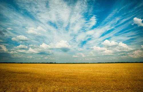 Latvijas Zemes fonds piecos gados lauksaimniekiem iznomājis 800 īpašumus vairāk nekā 16 000 ha platībā