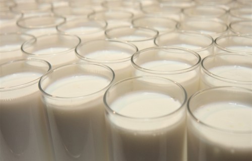 Piensaimniecības nozares stabilizēšanai Zemkopības ministrija piedāvā vairākus risinājumus