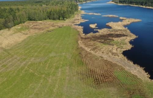 Rīgas pašvaldība aicina lauksaimniekus pieteikties zālāju noganīšanai īpaši aizsargājamajās dabas teritorijās