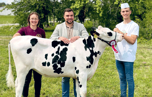 Pieredze, projekti un sadarbība – Holšteinas asociācijas stūrakmeņi