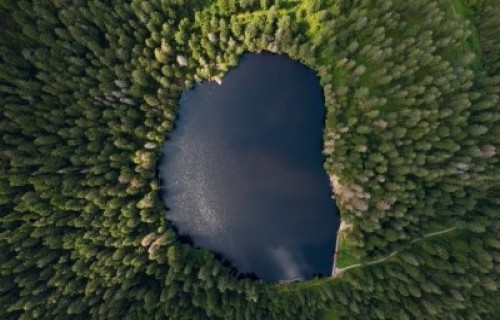 Seminārs "Klimata gudra mežsaimniecība: mežaudžu noturība pret vēju un citiem riskiem"