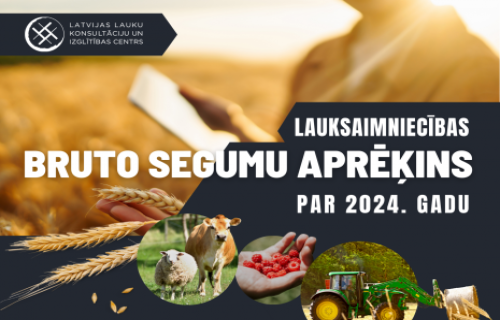 Provizoriskie bruto segumu aprēķini par 2024. gadu