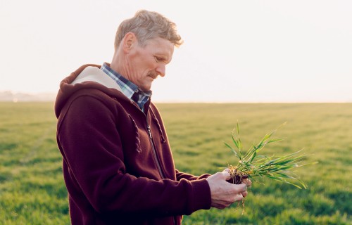 Agronomam nav jādara viss, bet vajadzīgais