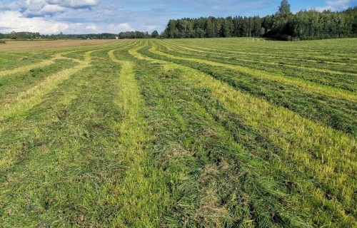 LAD aicina platību maksājumiem pieteikties savlaicīgi