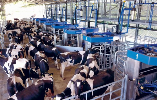 VMS™ Batch Milking robotizētā slaukšanas zāle