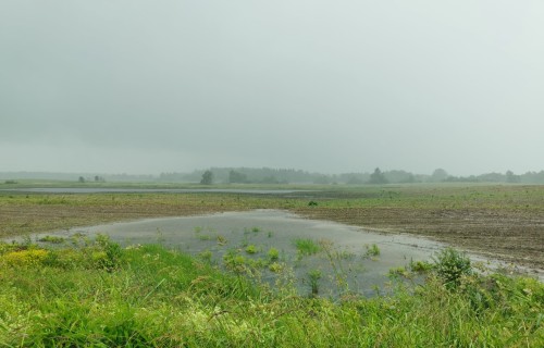 Reģionālās konferences lauksaimniekiem – par gudru saimniekošanu un nozares attīstības virzieniem 2026. gadā