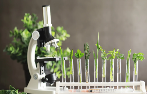 Pētniecībai un inovācijām lauksaimniecībā un mežsaimniecībā būs pieejami 6 miljoni eiro