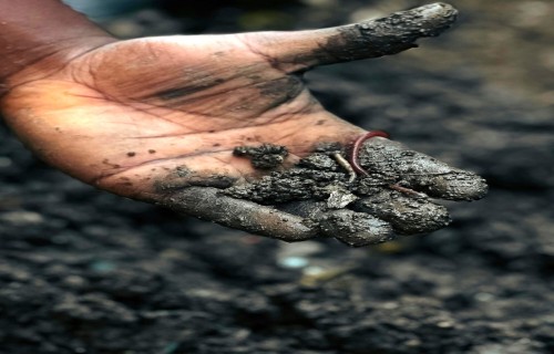 Piedāvājam noskatīties konferences “Augsnes kods 2025” videoierakstu