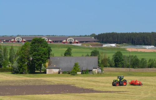 LAD uzsāk projektu pieteikumu pieņemšanu investīcijām lauku saimniecībās