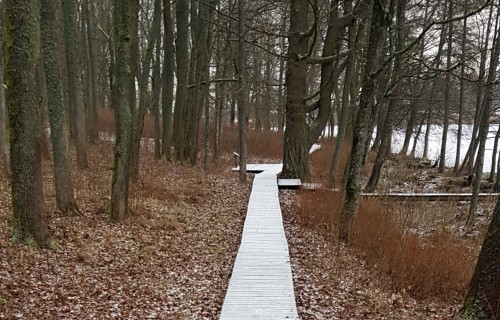 Ko varam gaidīt Eiropas Savienības klimata, vides un enerģētikas politikā? Situācijas raksturojums