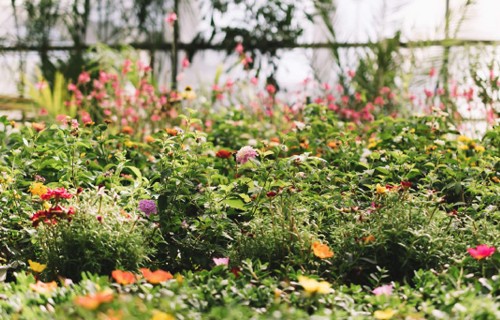Košai un drošai vasaras dobei