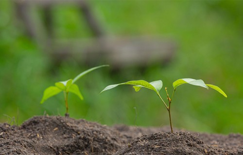 Šogad lauksaimnieki bez ierobežojumiem var uzņemties jaunas daudzgadu saistības agrovides un bioloģiskās lauksaimniecības atbalsta pasākumos