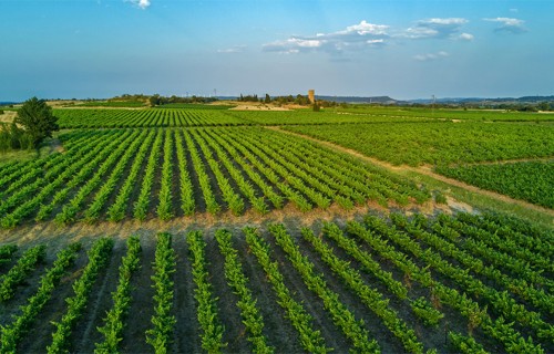 Vai Latvijas lauksaimnieks var sasniegt 2200 eiro izlaidi no hektāra?