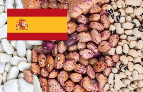 Mācību stundas Spānijā