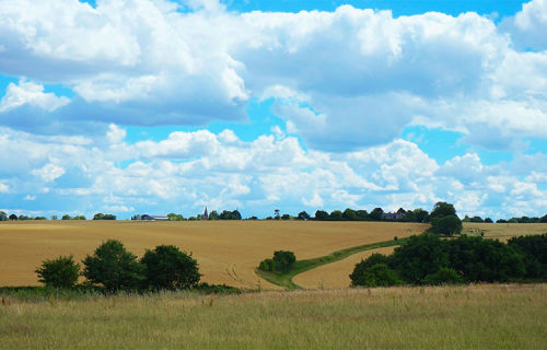 Aicinām apgūt saimniecību pārvaldības sistēmas “Mans Lauks” lietošanu!