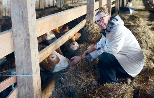 No Rīgas dunas līdz liellopiem un putniem ZS "Kalvāni"