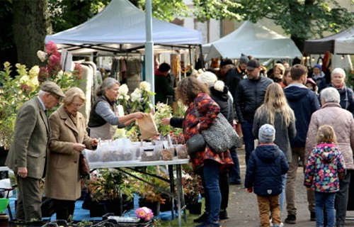 No tradīcijām līdz inovācijām: 25. aprīlī Bulduru tehnikums aicina uz Pavasara dārza un stādu svētkiem un Atvērto durvju dienu