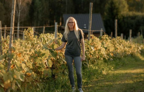 Vīnogas un aitiņas "Mazburkās"