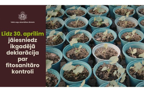 Līdz 30. aprīlim jāiesniedz ikgadējā deklarācija par fitosanitāro kontroli