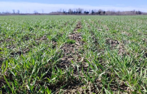 Kas jāņem vērā, ja piesakās EKO4?