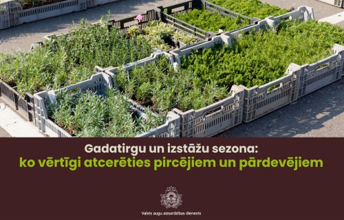 Gadatirgu un izstāžu sezona: ko vērtīgi atcerēties pircējiem un pārdevējiem