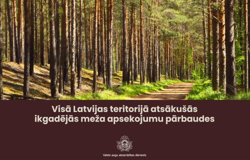 Visā Latvijas teritorijā atsākušās ikgadējās meža apsekojumu pārbaudes