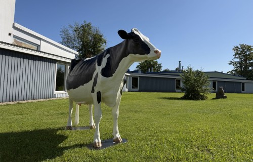 LBTU Veterinārmedicīnas fakultātē atklās Klīnisko prasmju un simulāciju centru