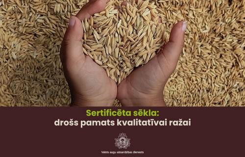Sertificēta sēkla ir drošs pamats kvalitatīvai ražai