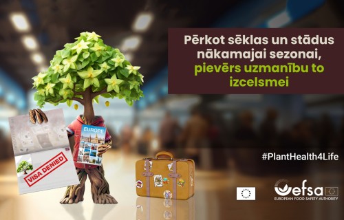 Pērkot sēklas un stādus nākamajai sezonai, pievērs uzmanību to izcelsmei