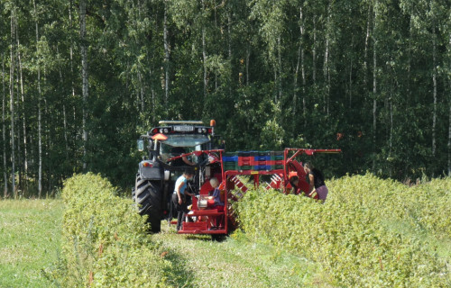 Vairāk no katra hektāra – Latvijas lauksaimniecībai jāvirzās uz lielāku produktivitāti un konkurētspēju