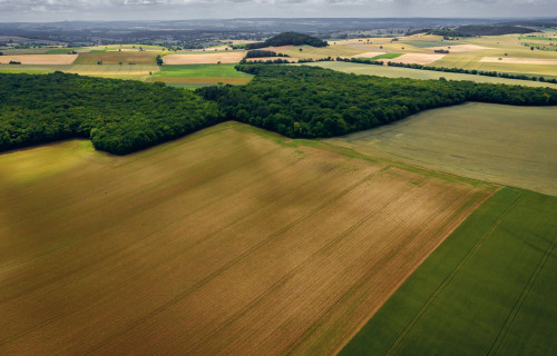 Klimatam draudzīgi var būt ekonomiski izdevīgi