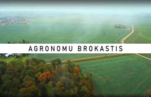 AGRONOMU BROKASTIS #27 Lauki pirms ziemošanas