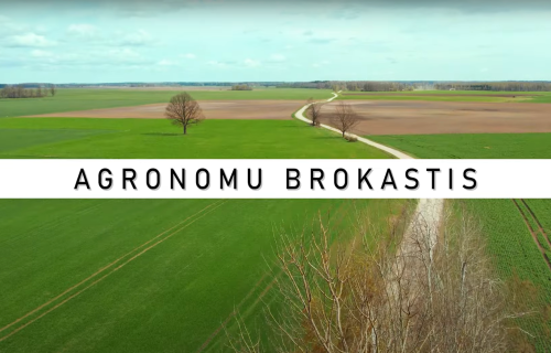 AGRONOMU BROKASTIS #28