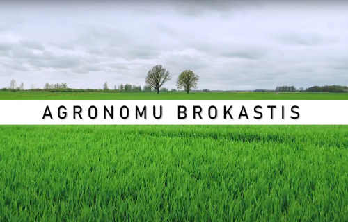 AGRONOMU BROKASTIS #29