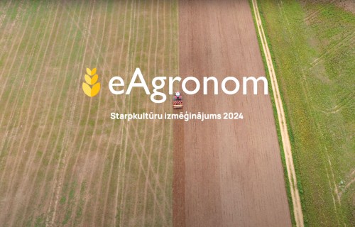 eAgronom Starpkultūru izmēģinājums 2024 - ZS "Kalves"