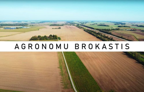 AGRONOMU BROKASTIS #33