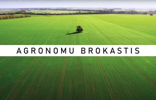 AGRONOMU BROKASTIS #34