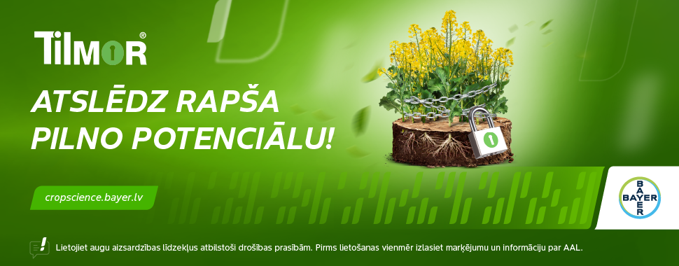 Bayer