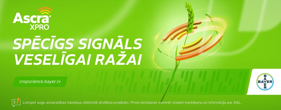 Bayer