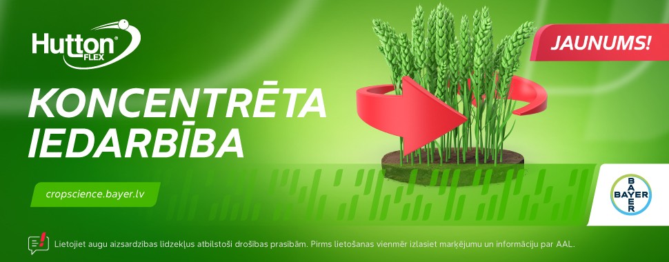 Bayer